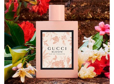 profumo gucci bloom limoni|gucci bloom perfume knock off.